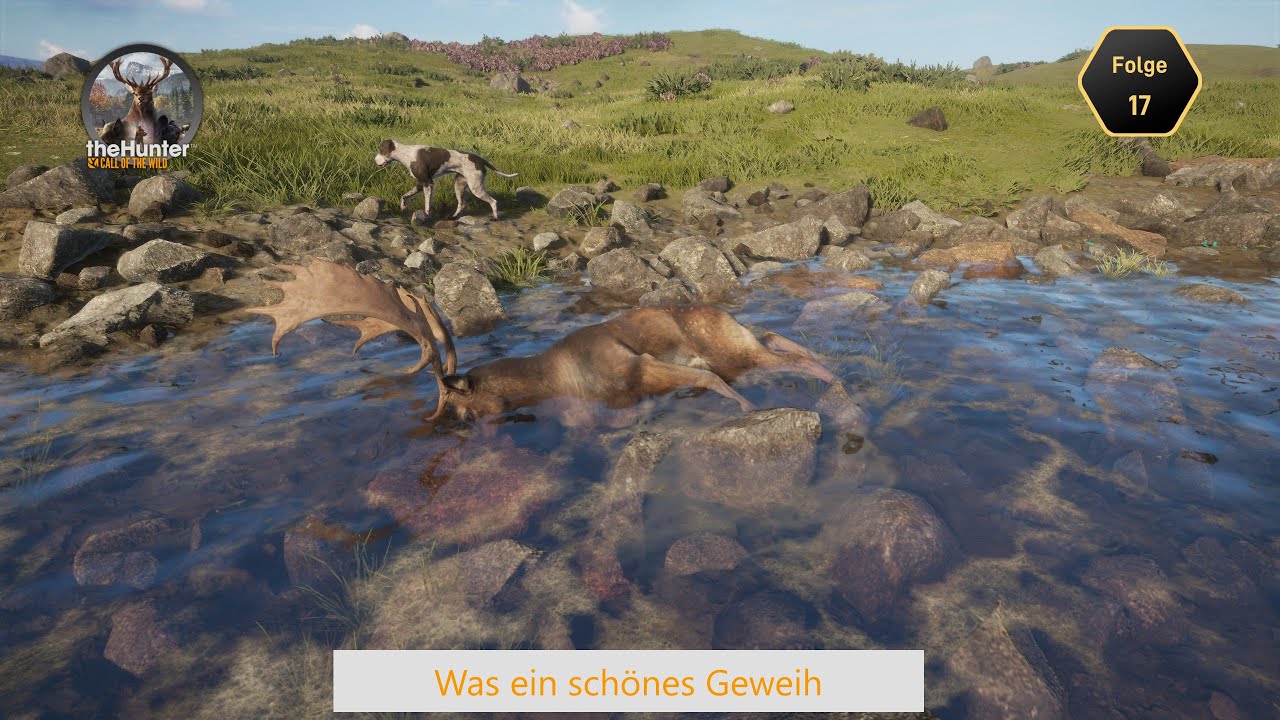 The Hunter - Call of the Wild | Deutsch | #17 | Was für ein Geweih