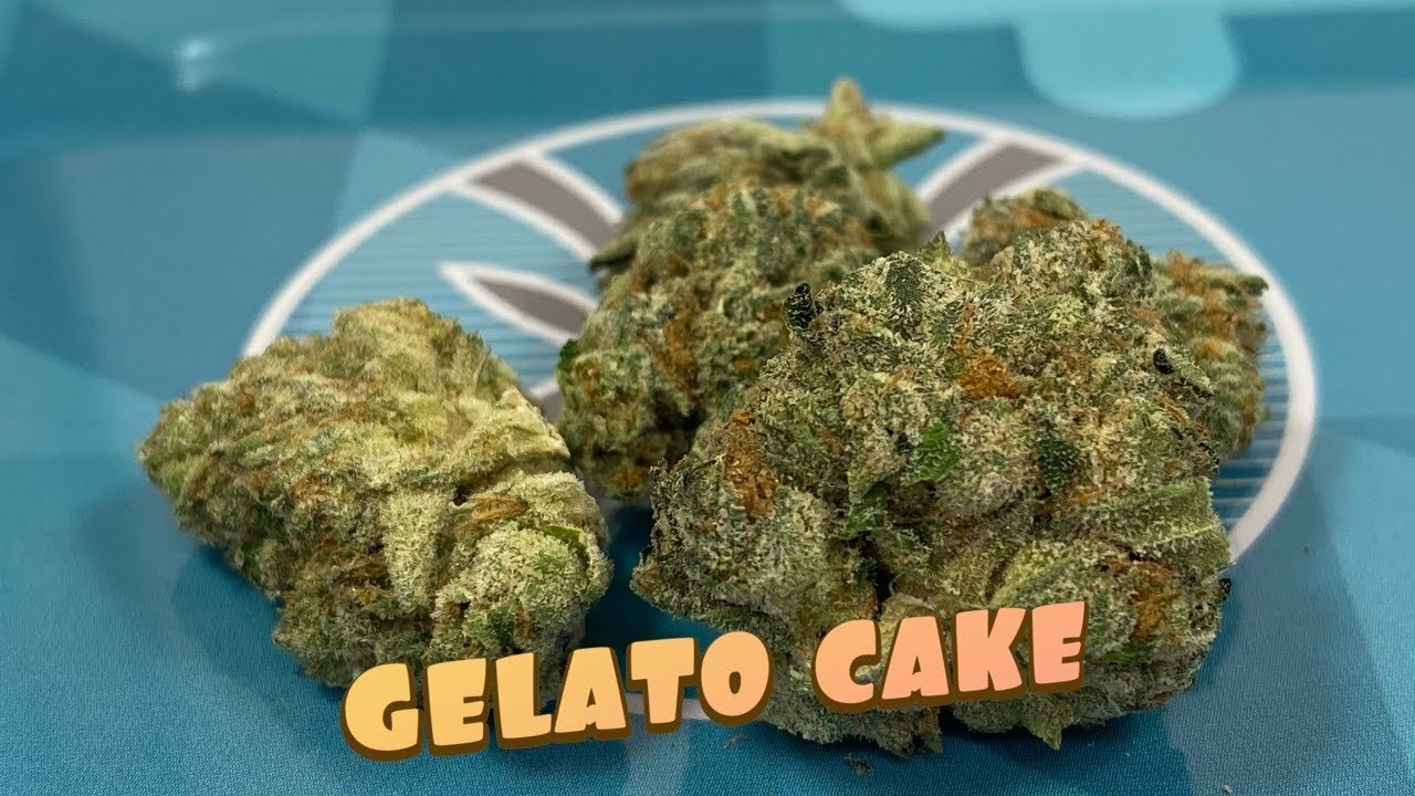 Gelato Cake Strain Review