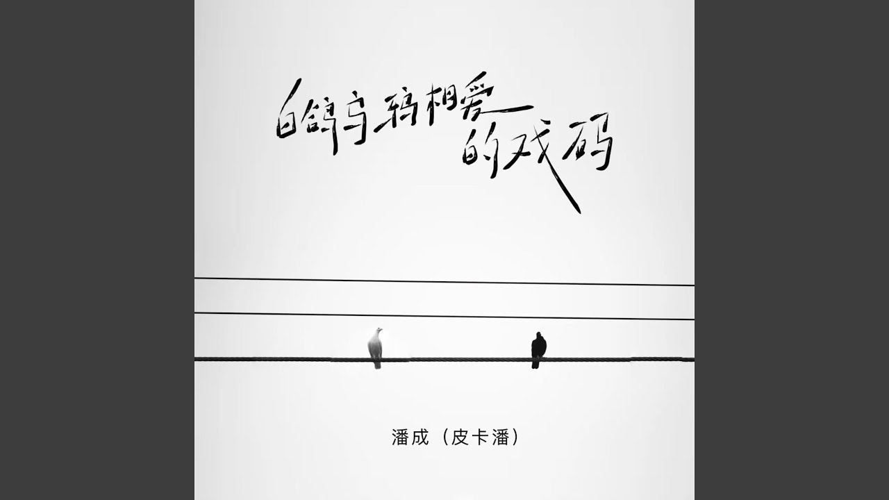 白鸽乌鸦相爱的戏码 (降速调0.9X)