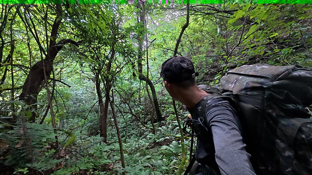 【探險釣魚】溯溪而上穿越山林-尋找隱藏在大山深處的神秘水庫