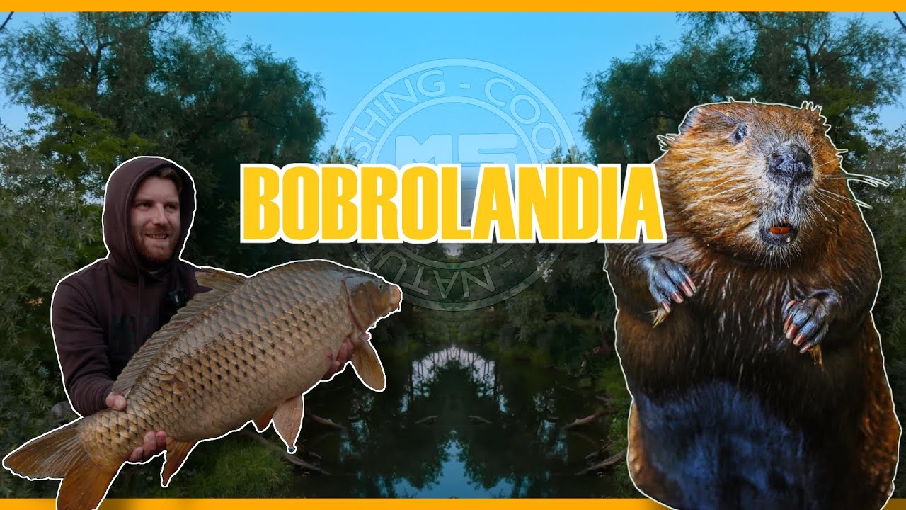 Chytám v Bobrolandii 🦫🦫/Skúška vytrvalosti🦾/ Rieka Váh 🌊/ Nové miesto🌿 / Lov na pelety / Lov Kapra 🎣