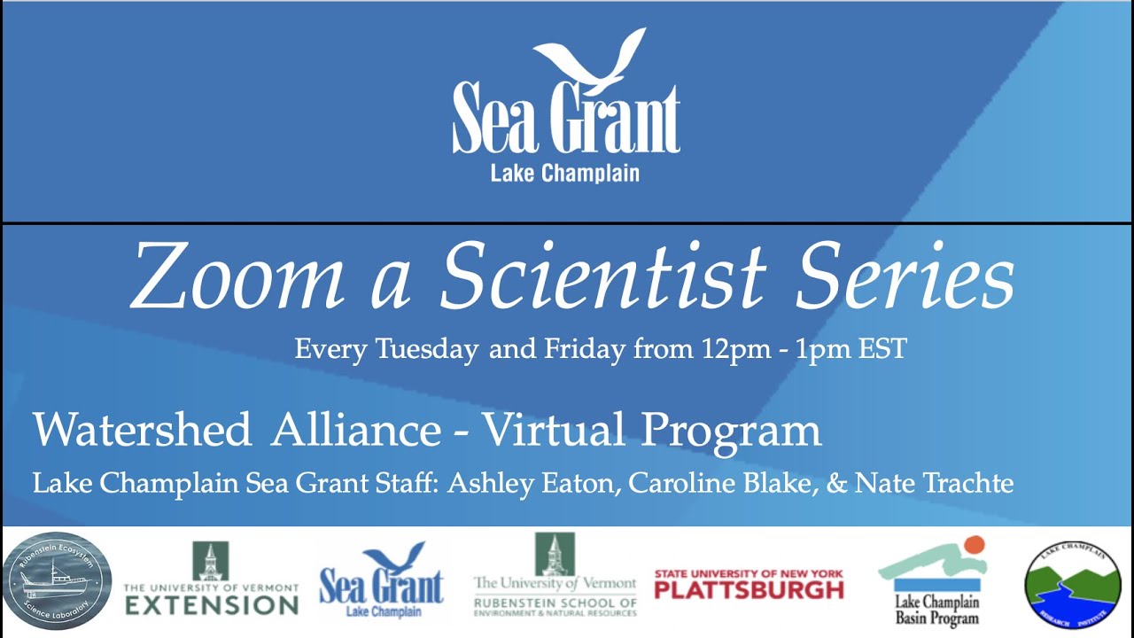 Zoom a Scientist: Sensing what is in the water: next-generation sensor technologies