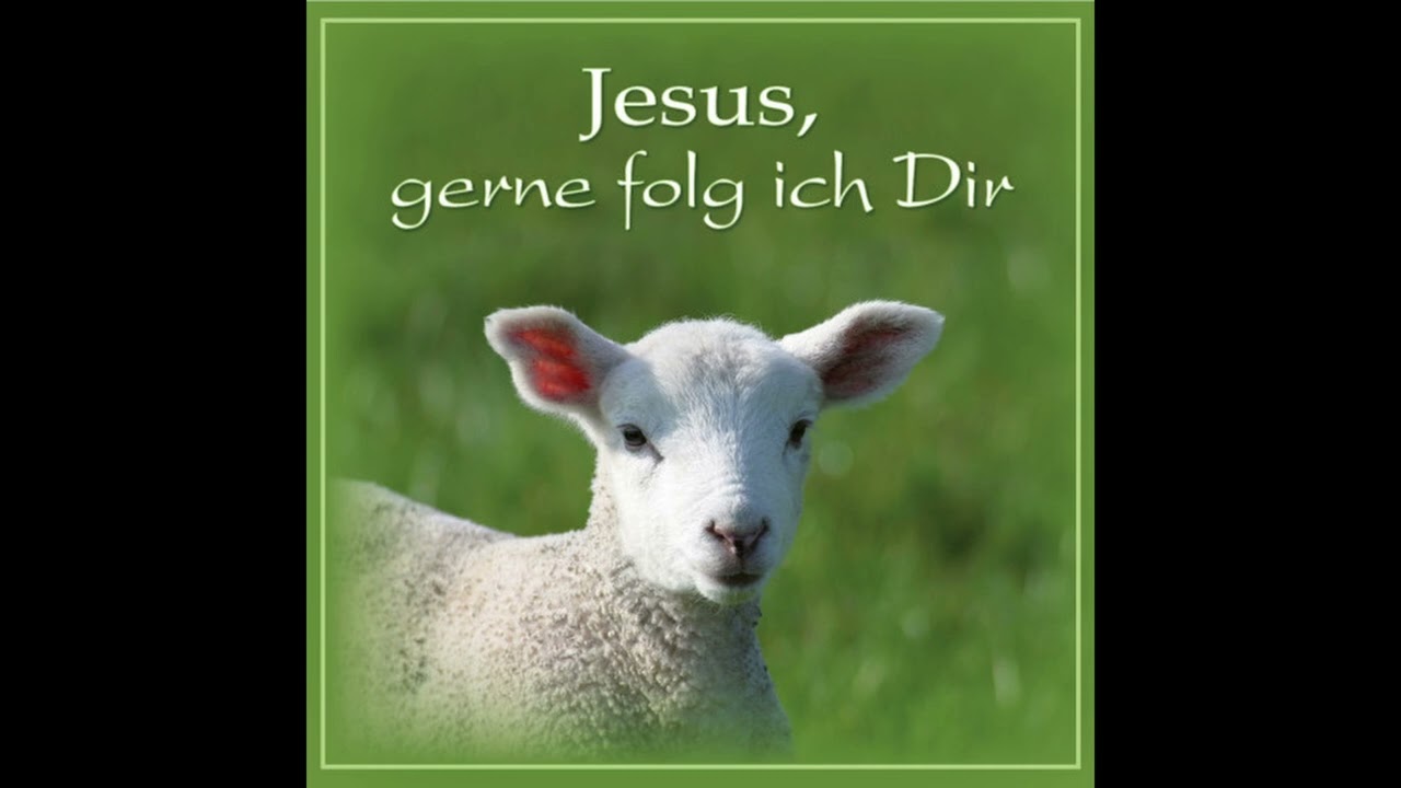 Trachtet zuerst nach Gottes Reich