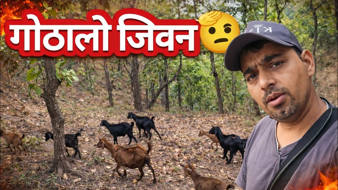 मेरो गोठालो जीवन यस्तै छ हजुर गाउघरमा 😳 Kanxeevlog 