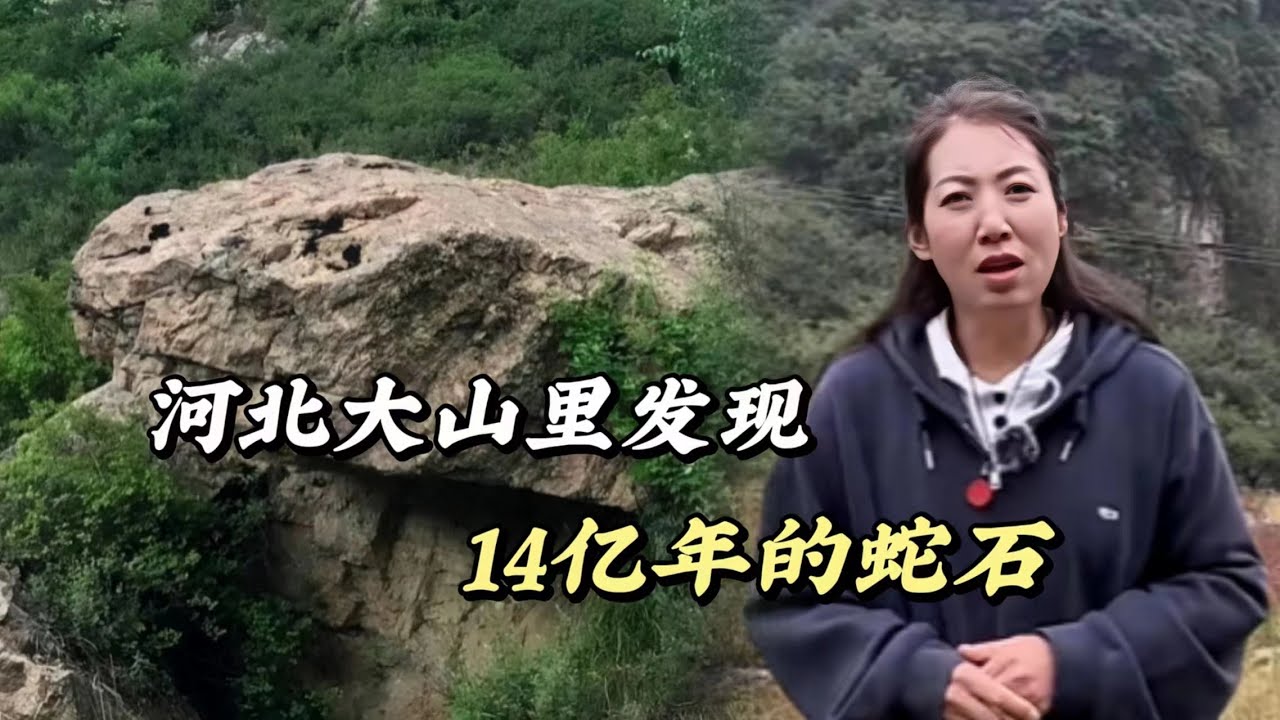 河北大山深处发现蛇祖石，活灵活现真可谓是可以假乱真，如此逼真的蛇祖石它到底是怎么形成的，村民们为什么要把它保护起来！#歷史 #歷史解說 #旅行