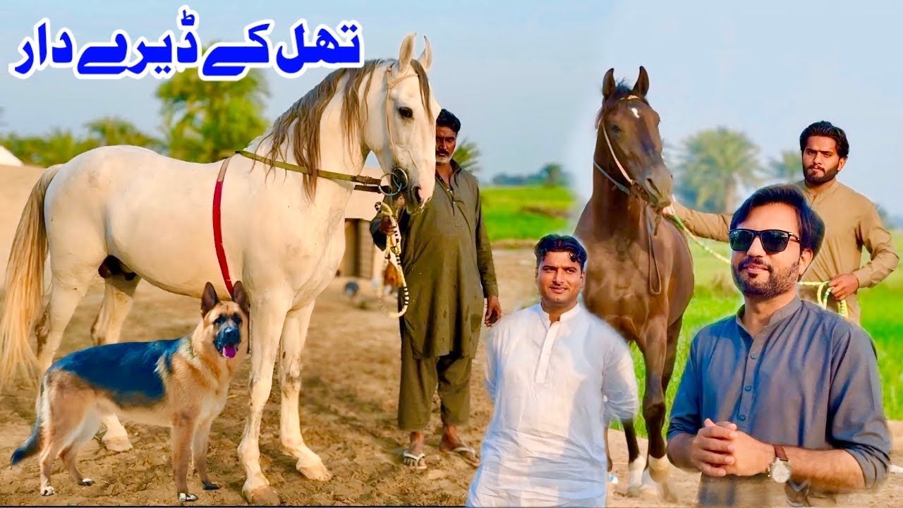 Thal Kay Dery aur Shandar Log