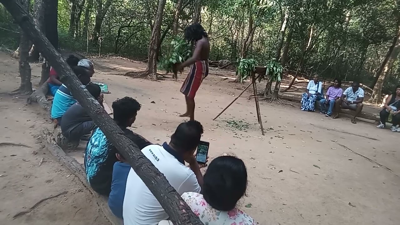 දබානේ කිරි කොරහා නැටුම..💃 💃 වැද්දෝ (ආදීවාසින්)#comedy #trending #shorts  #learnfromkhaby #learning