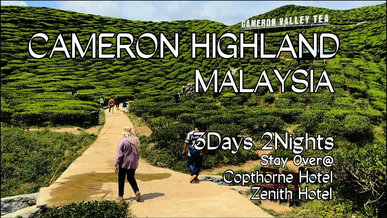 Отдых в Cameron Highlands МАЛАЙЗИЯ -3 дня 2 ночи. Субтитры доступны. #Malaysiatravel
