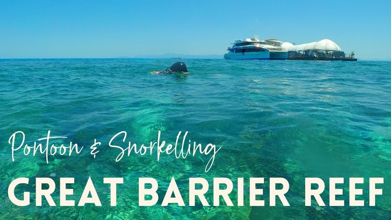 Great Barrier Reef Pontoon Adventure | Outer Reef Snorkelling Day Trip From Cairns