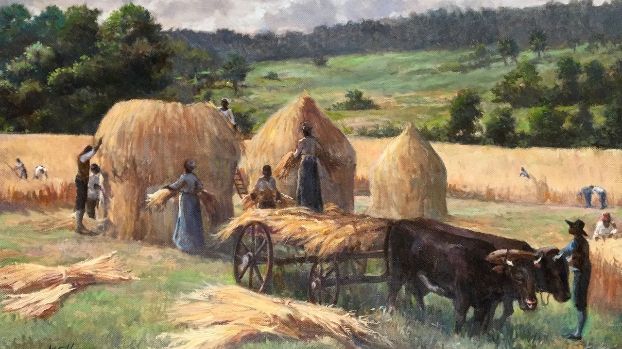 Agriculture and the Monticello Plantation