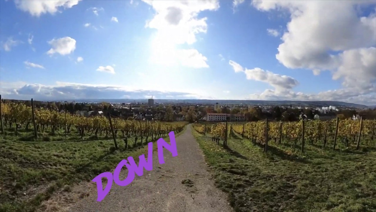 Down Bismarck Tower Konstanz