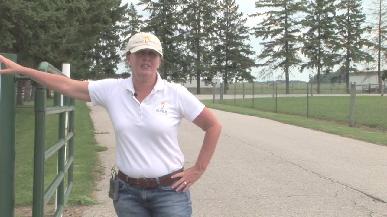 Horse Facilities: Planning, Building, and Managing