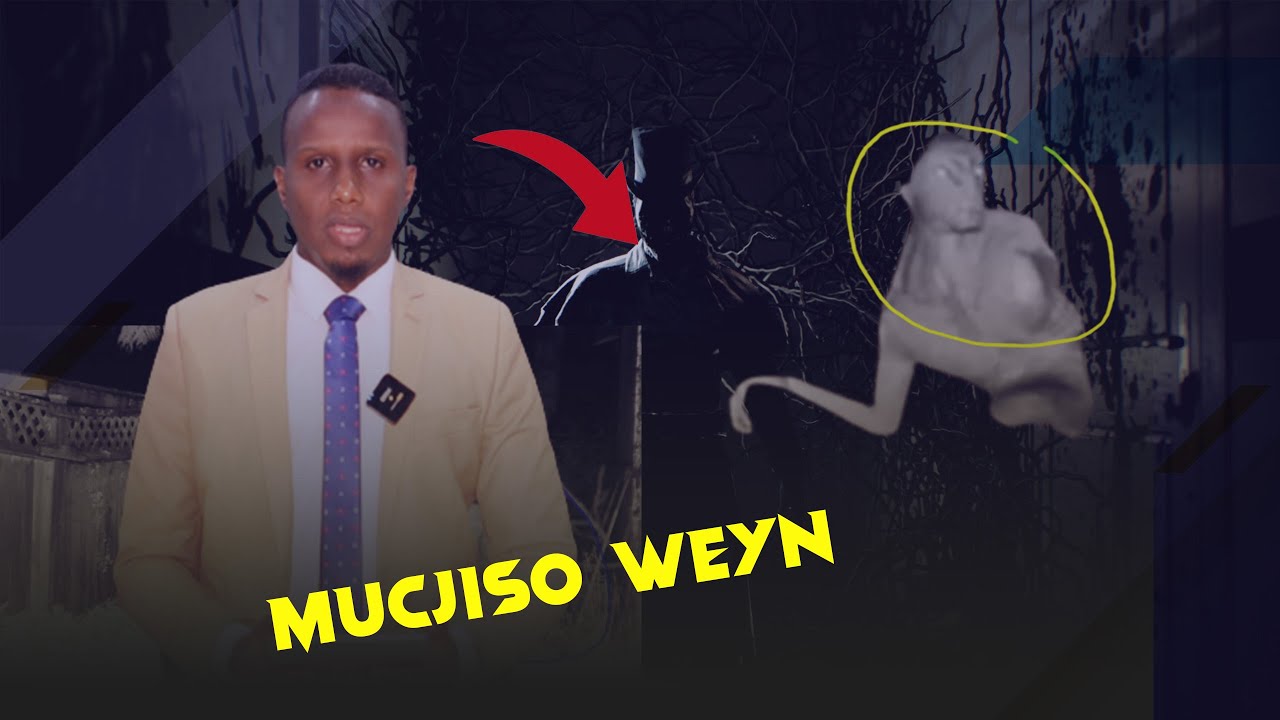 Mucjiso Cirka kasoo dhacday oo Mareykanka lagu arkay | Muuqaalo Argagax leh |