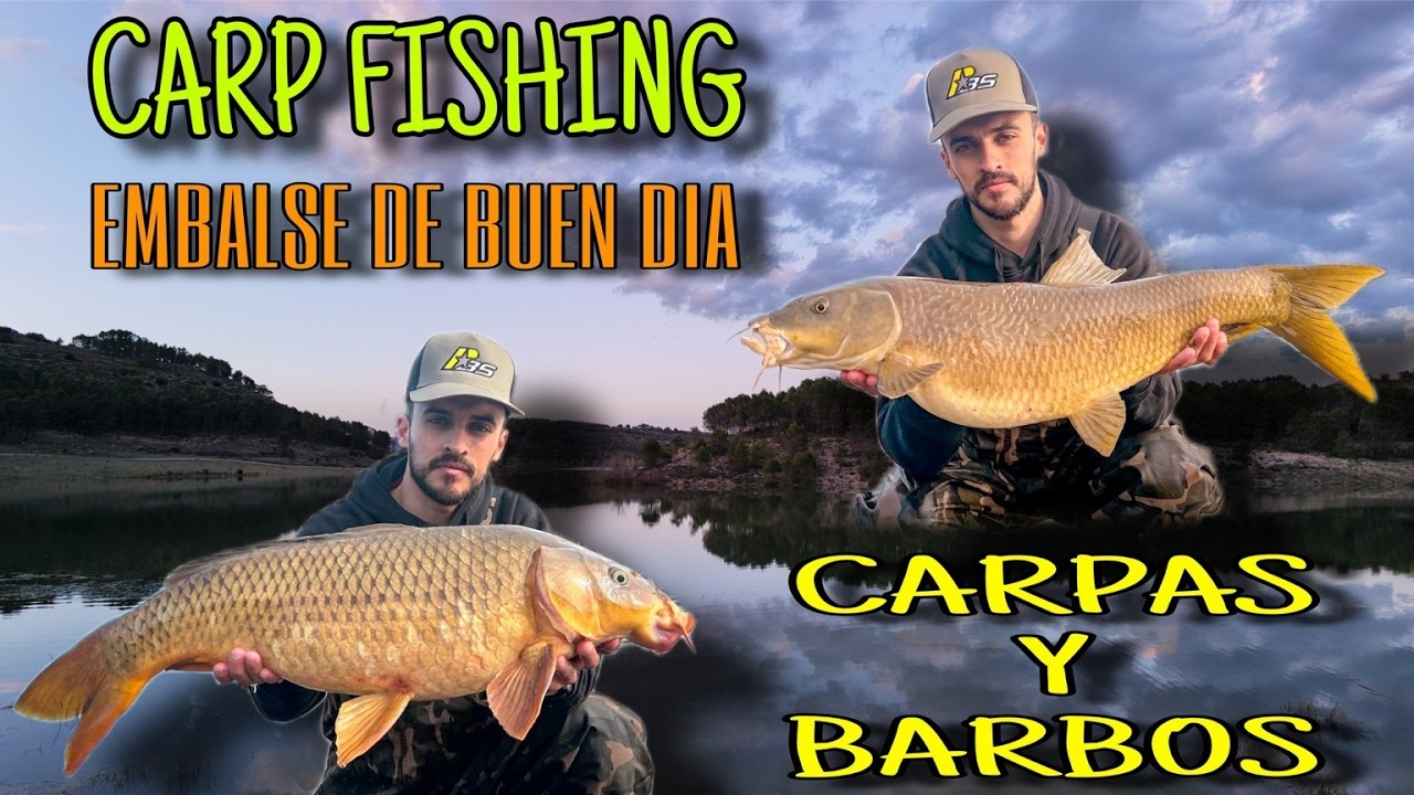 EMBALSE DE BUENDIA | BARBOS Y CARPAS | CARPFISHING | 2026