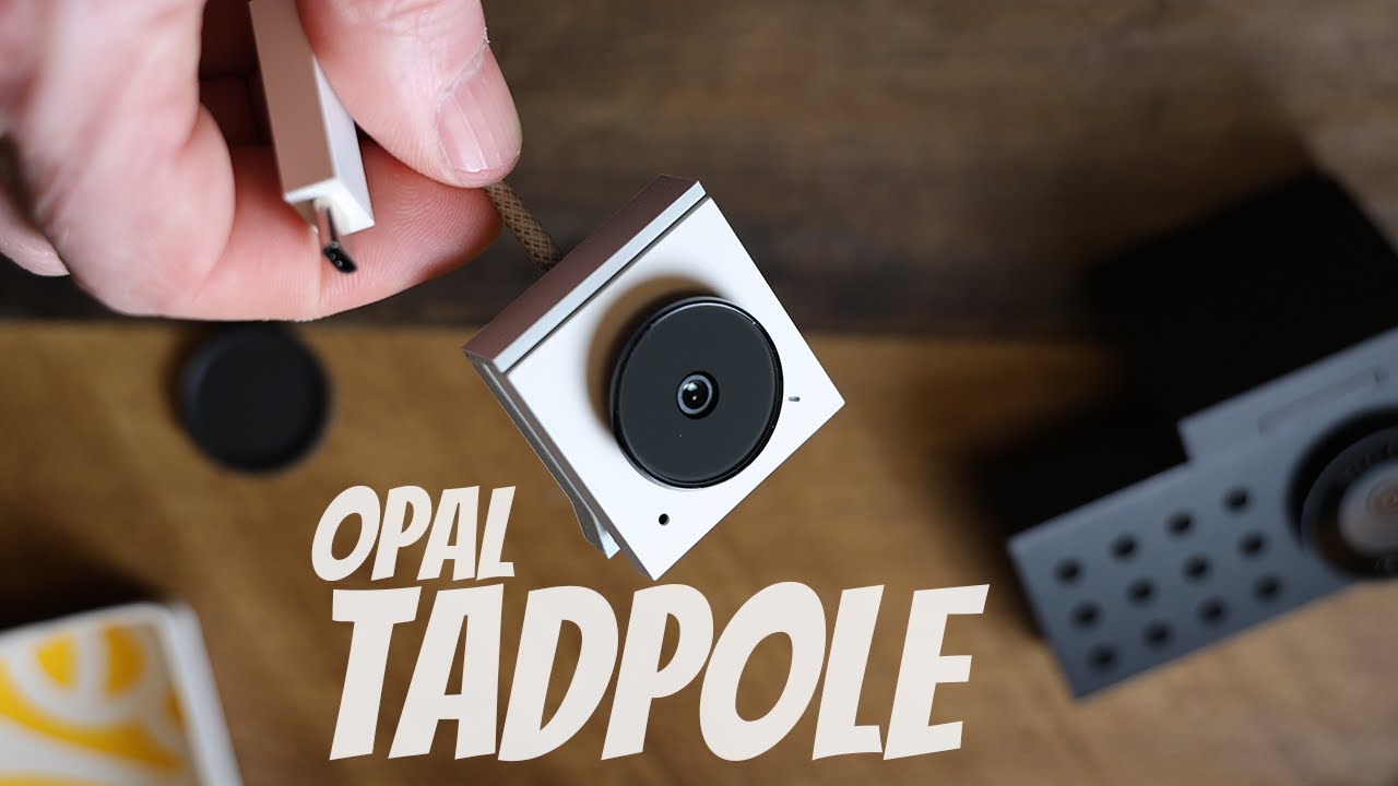 Opal Tadpole &mdash; действительно ли он лучший?