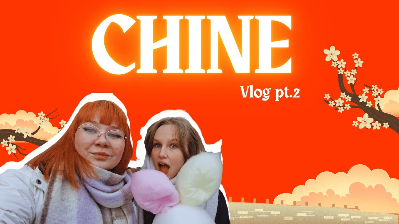Je pensais tout avoir vu... Mais Non | Vlog Catastrophique