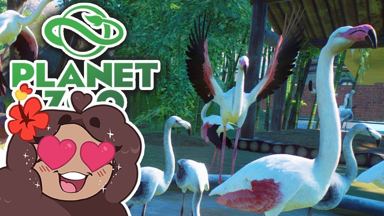 Wrestling an Entire Flock of FLAMINGOS!! 🐼 Daily Planet Zoo! • BONUS Day 56