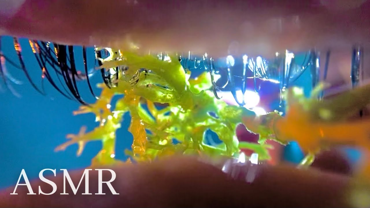 ASMR EYE CLEANING FROM ALGAE👁️🌿