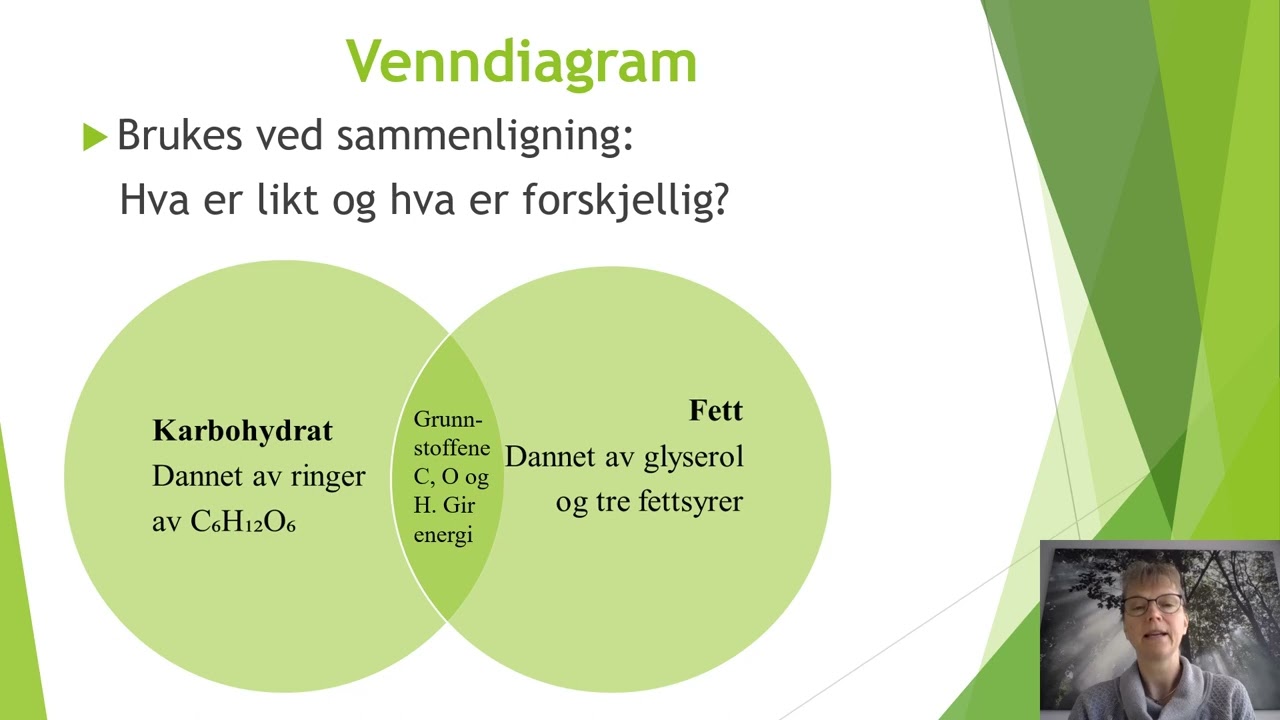 Læringsstrategier - Infofilm