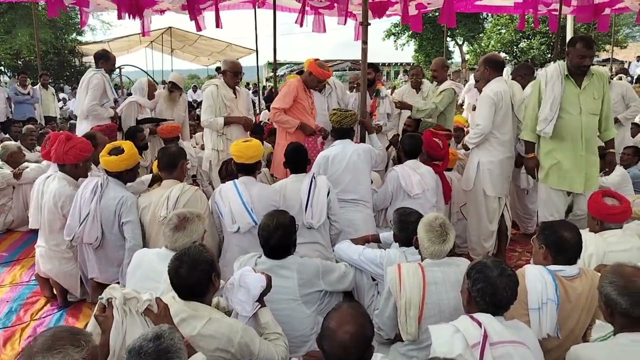 सिरीयापुरा की जोटी (बरबटपुरा में) 06/09/2025 Satveer gurjar barvatpura 