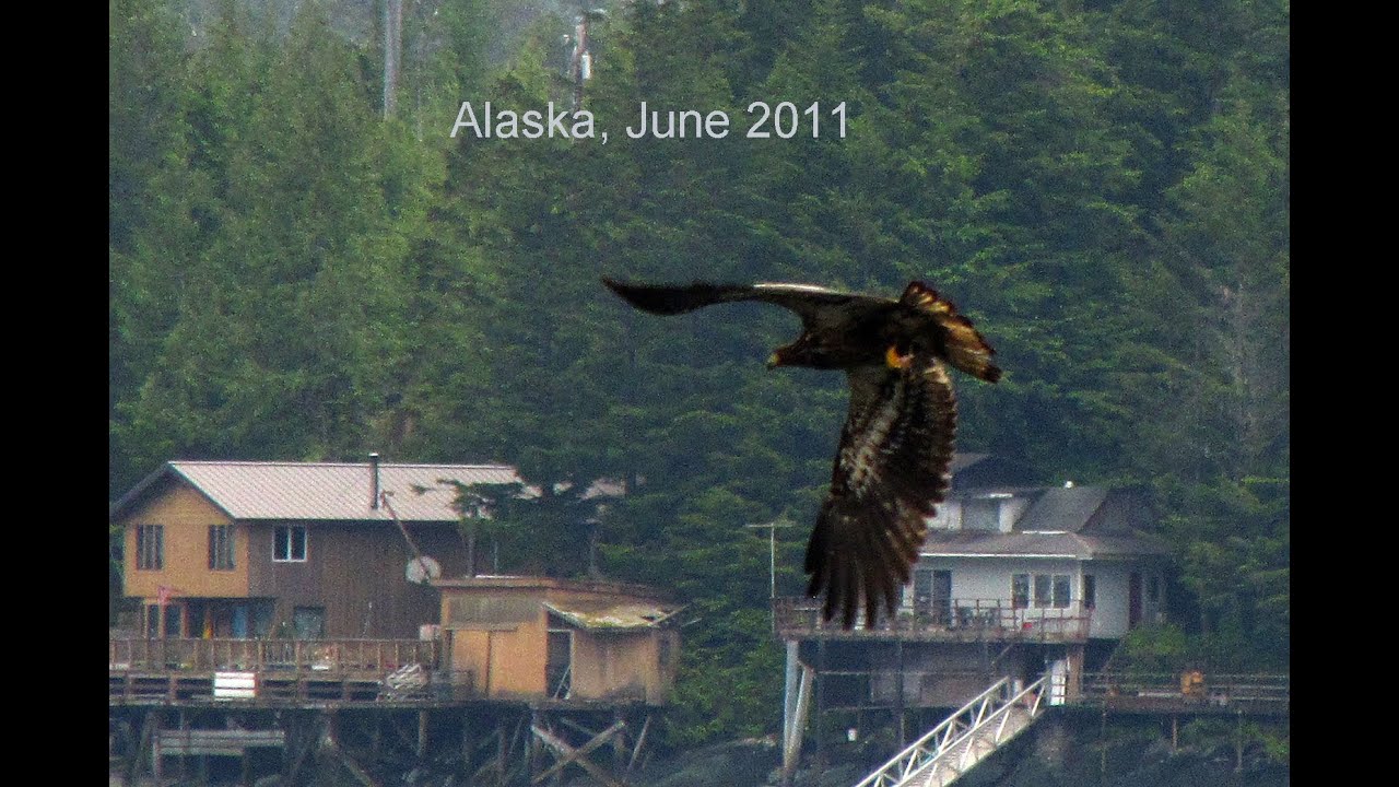 Alaska Trip, June 2011 HD