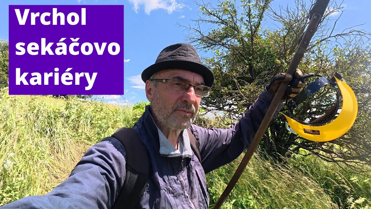 Invaze rostlin 11: Bolševník v údolí Rájovského potoka
