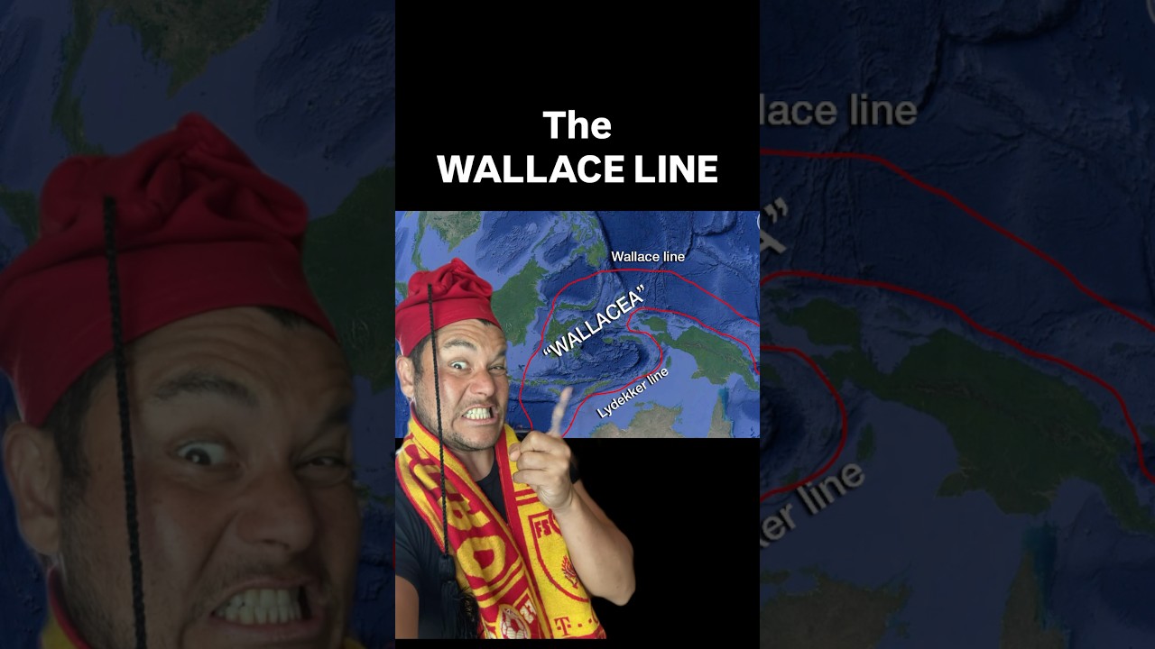 The Weber line explained