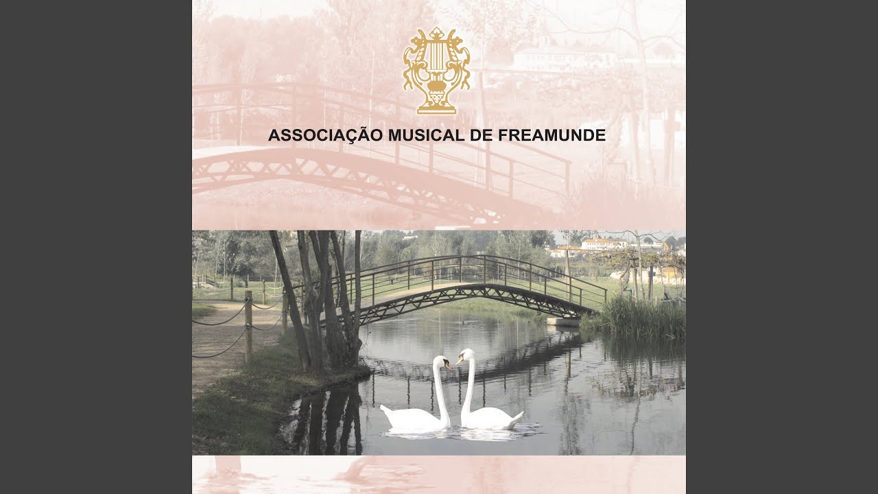Arraial Luminoso