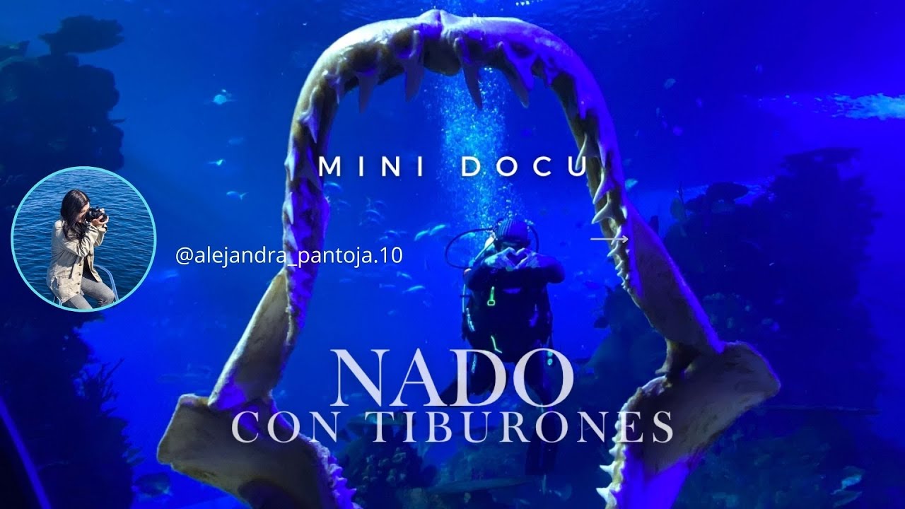 NADANDO con TIBURONES en Mazatlán Ale Pantoja
