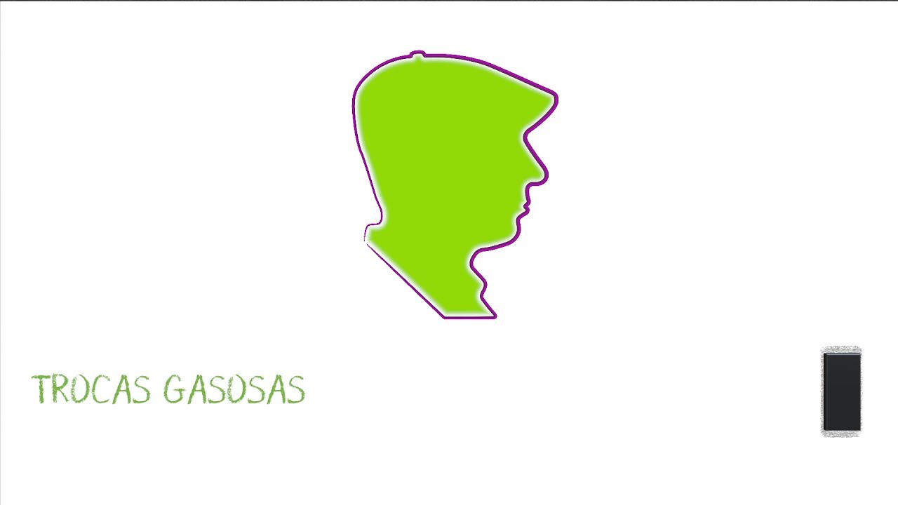 trocas gasosas