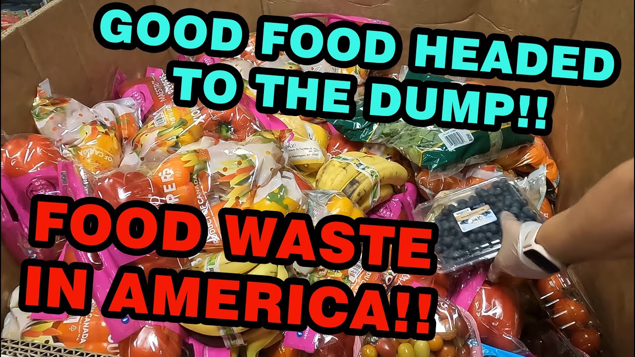 Saving Good Food from the Dump and Giving it to The Community!!