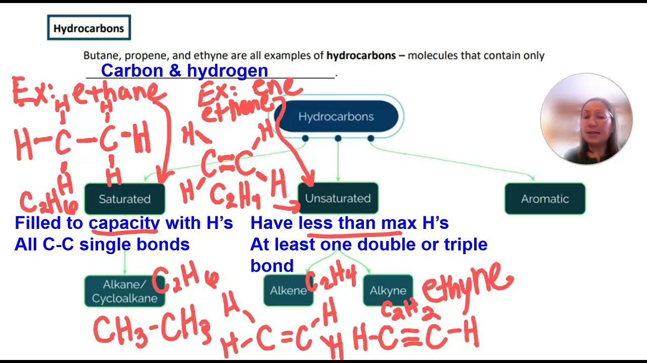 Intro to Organic & Hydrocarbons