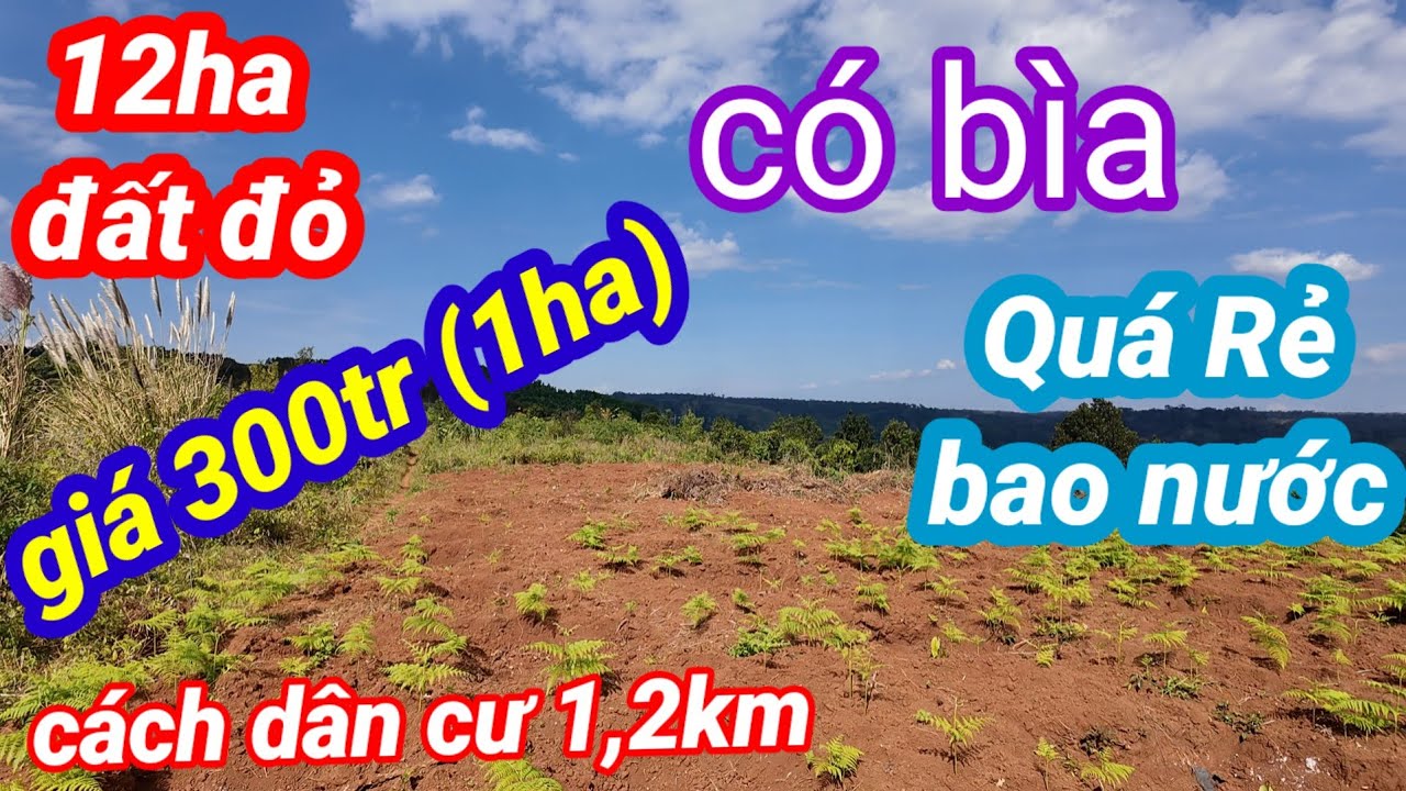 Bán vườn 12ha đất đỏ 3zan, giá 300tr (1ha) đả  có  bìa,, giá nguyên lô 3 tỷ 900tr  cách dân cư 1,2km