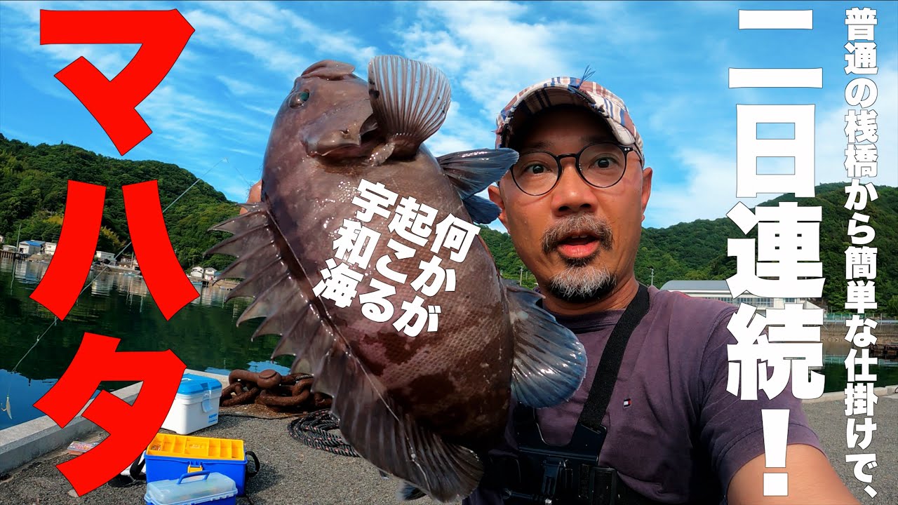 「なんでもない桟橋から、なんでもない仕掛けで、2日連続マハタが釣れた！」