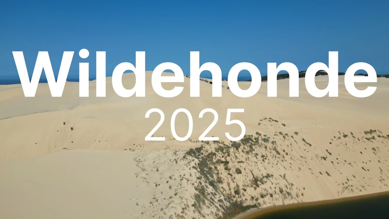 Wildehonde Duine - 2025