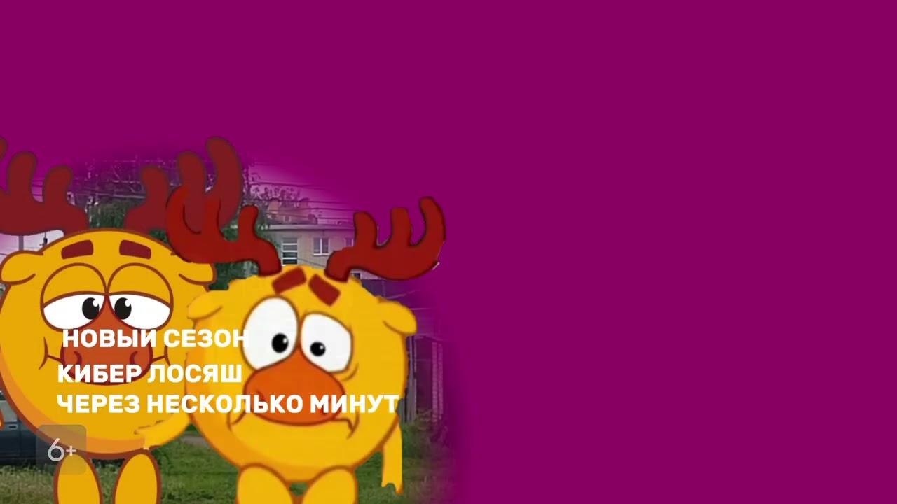 Кибер Лосяш Плашки (НТН, весна-лето - 29.05-15.07.2026) Для @Ntn-online.ru.255