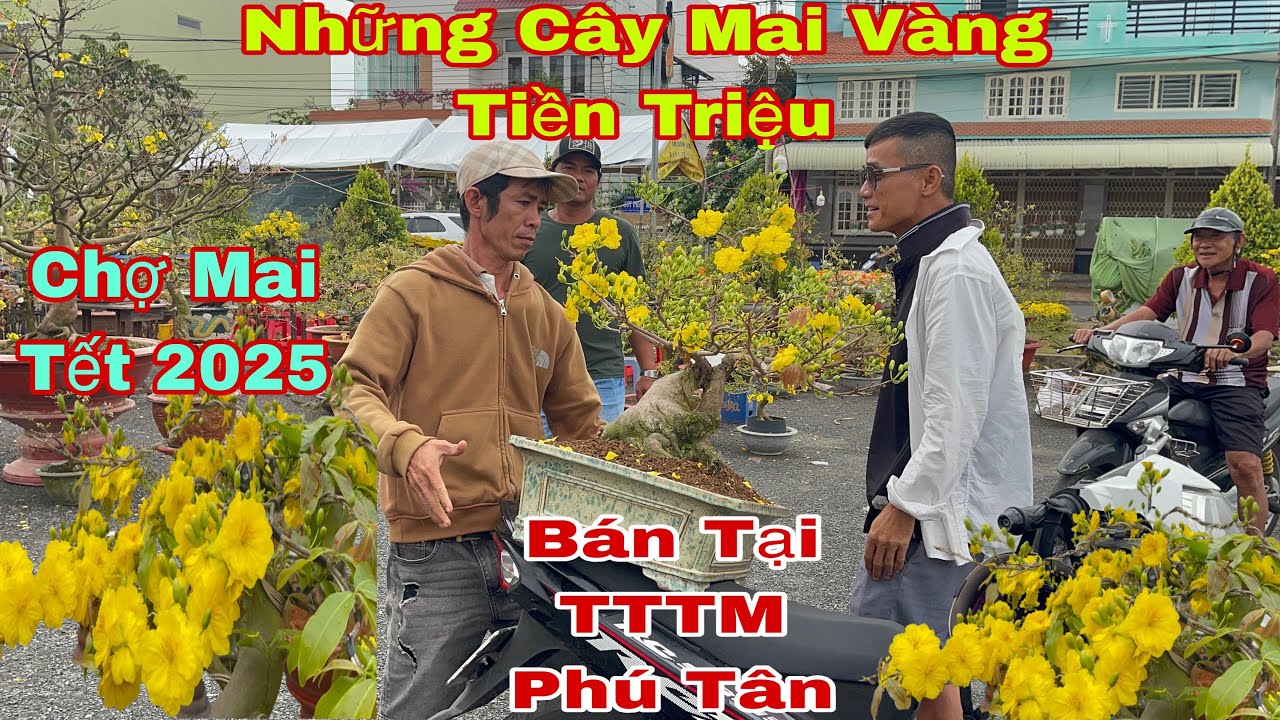 Chợ Hoa Xuân Phú Tân An Giang:Mai Cổ Thụ Giá Vài Chục Triệu,Hoa Kiểng Ngập Tràn
