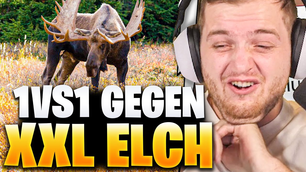 😨🤯XXL ELCH ANGRIFFE in KANADA! Haben wir eine CHANCE??  | Trymacs Stream Highlights