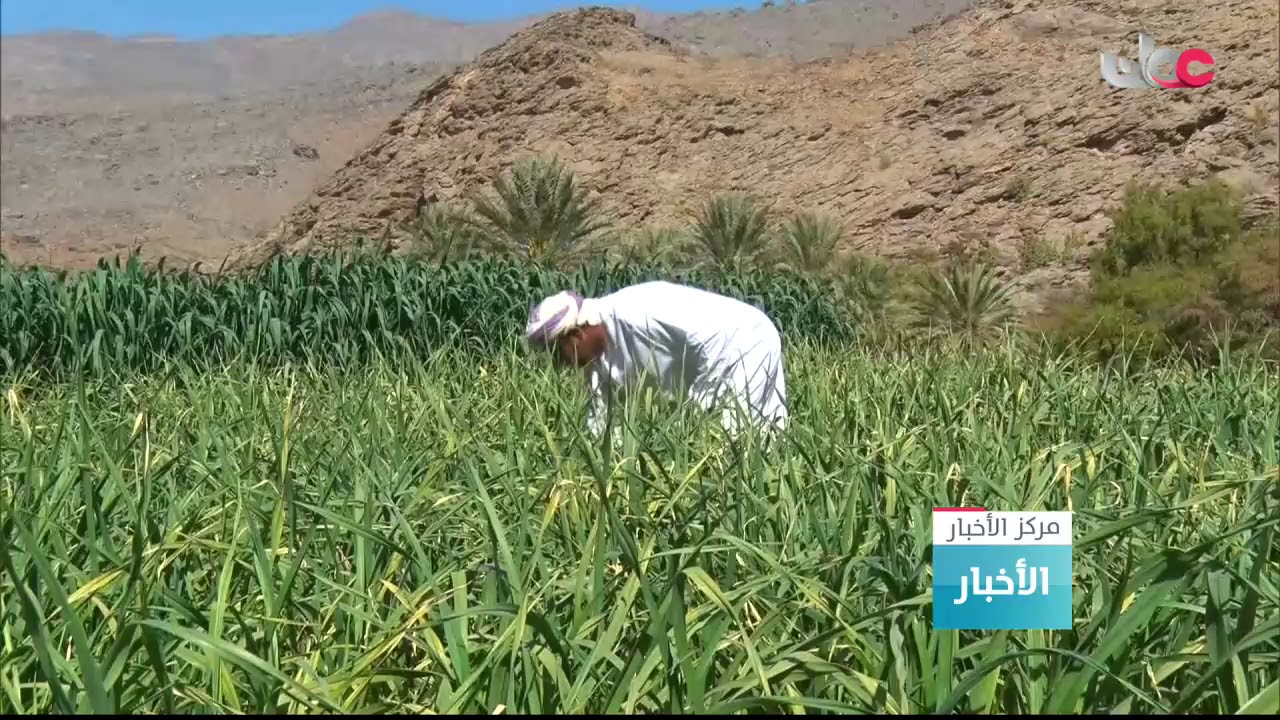 القرى السياحية في جبل شمس بولاية الحمراء
