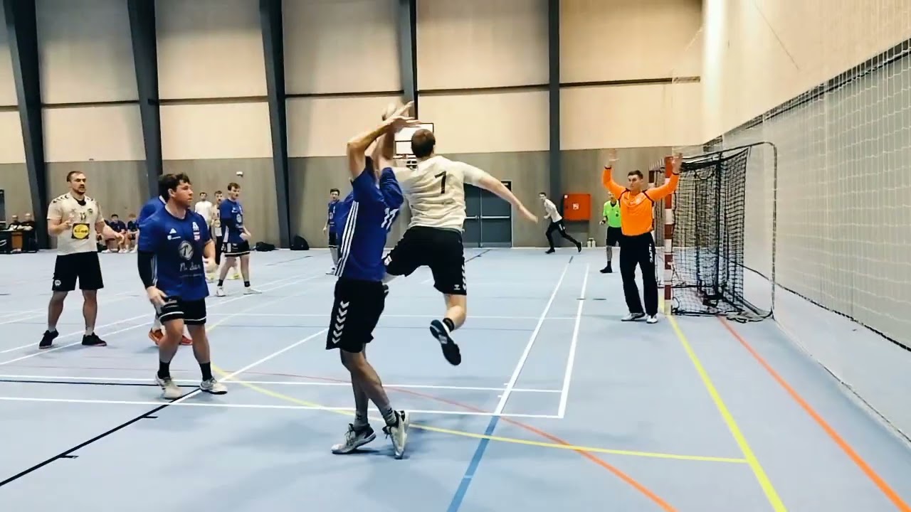 Aalborg Studenternes IF-IK 1919, Danmarksserien ( h&aring;ndbold)