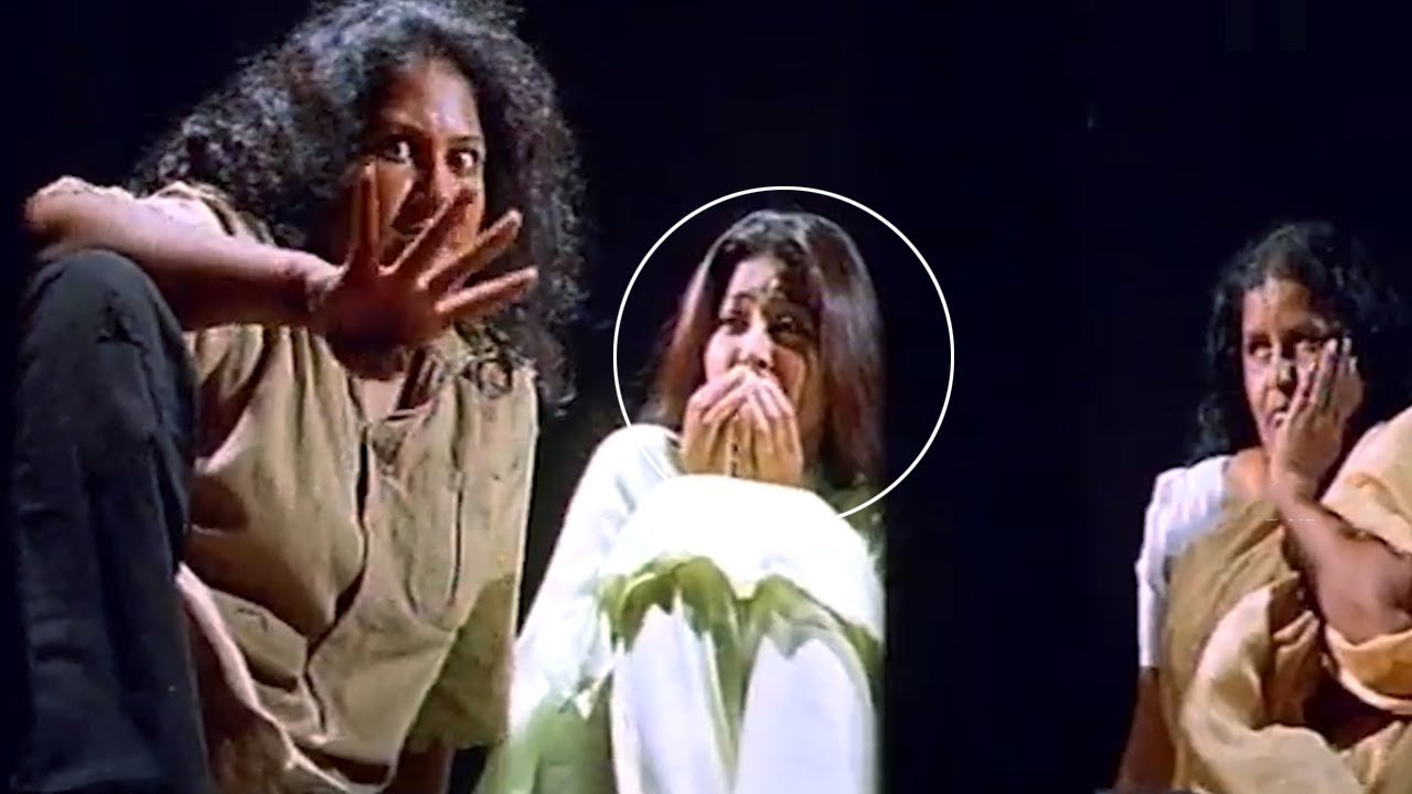 Pandu Movie Scenes | Telugu Movie Scenes || TFC Movies Adda