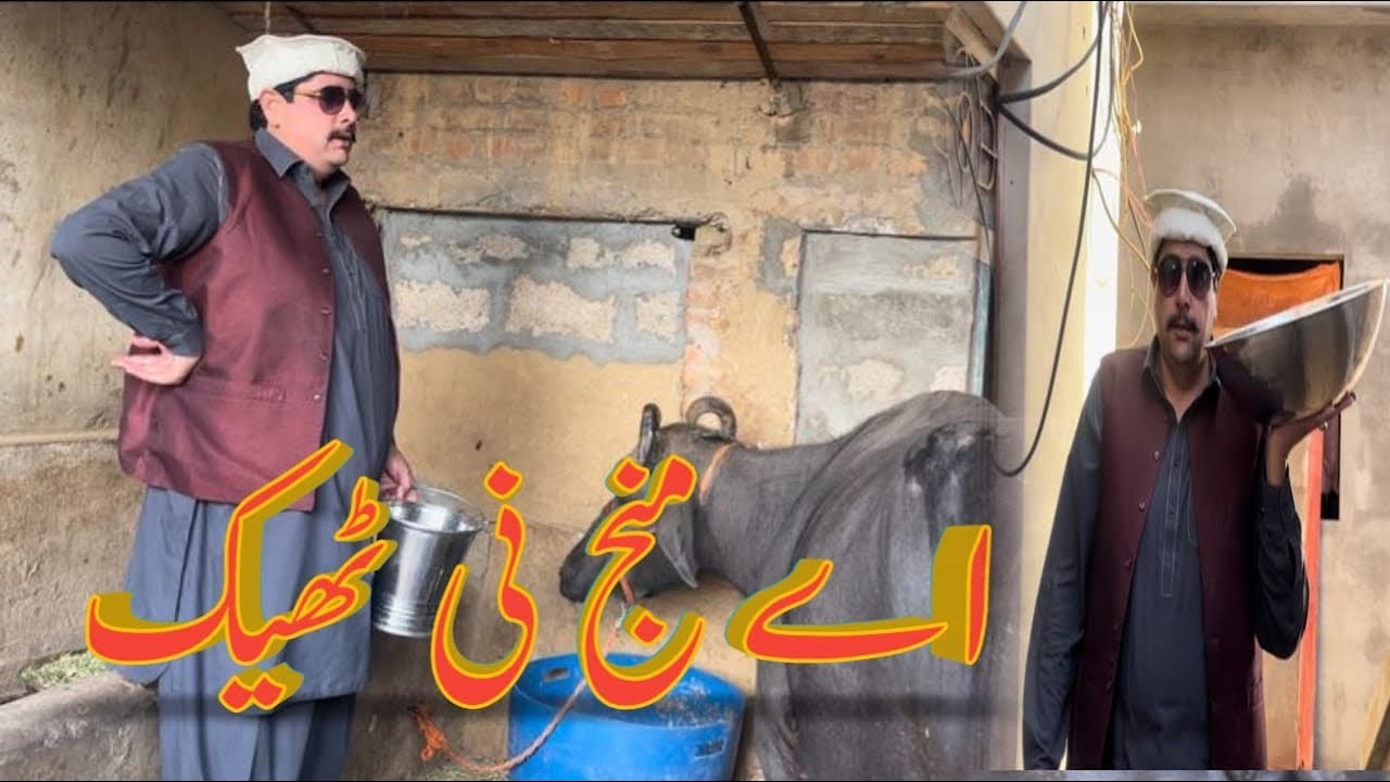 بیوپاری نے کہا تھا بھینس اچھی ہے