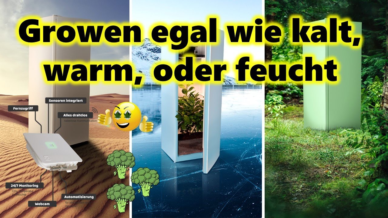 Growbox ohne L&uuml;fter, nur mit CO2 &ndash; Fridge Grow macht's vor