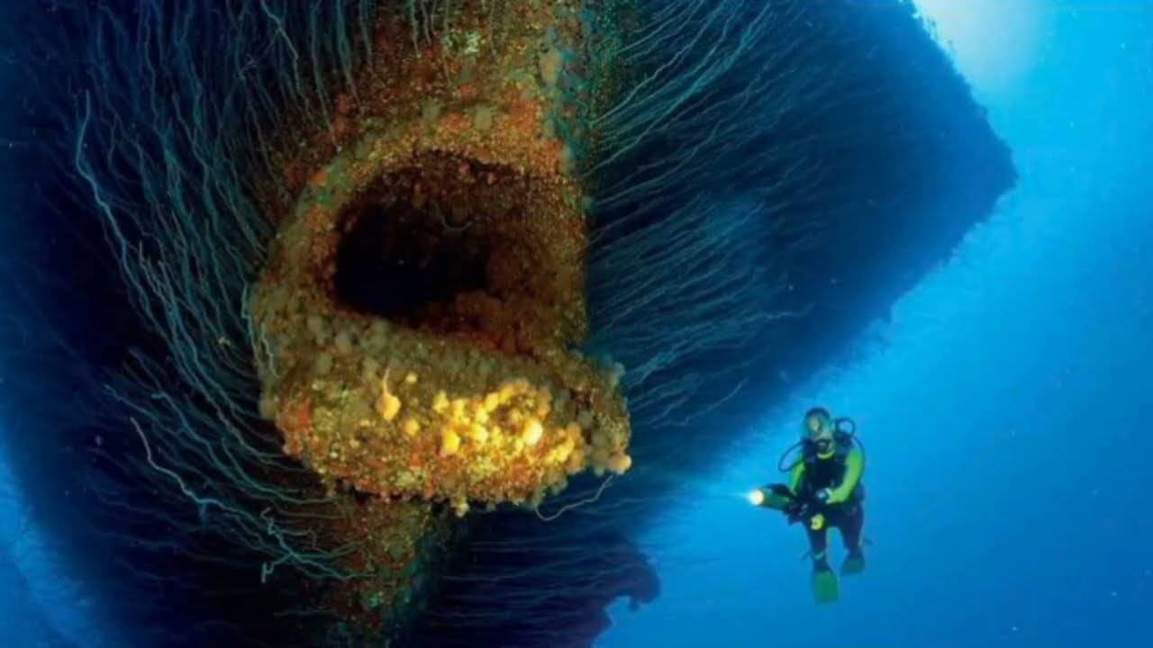 Thalassophobia images with unsettling music