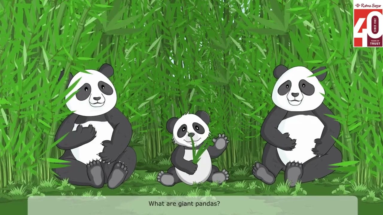 The Giant Panda Raindrops Book 3 - English Video For Class 3 #raindrops