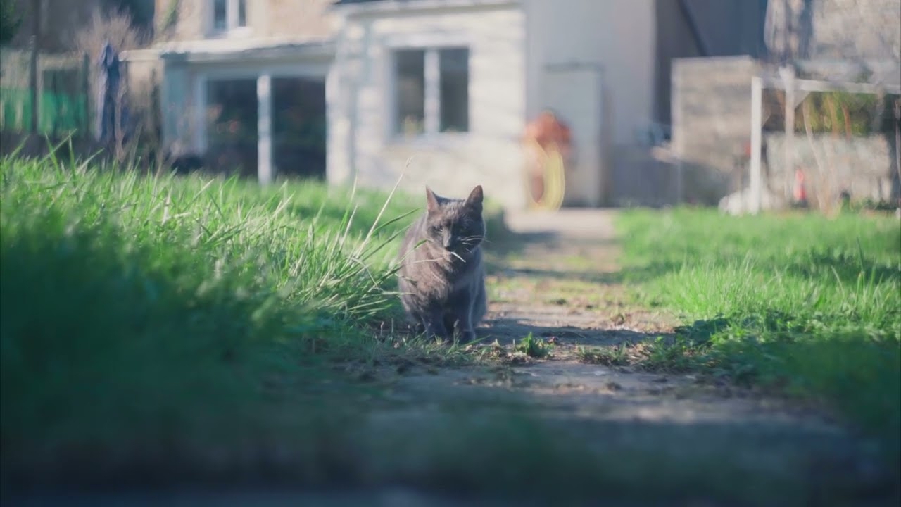 Helios 44-2 m KMZ