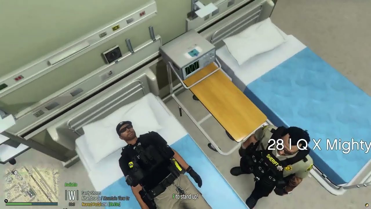 Blueline Brotherhood I Went Down (officer down)
