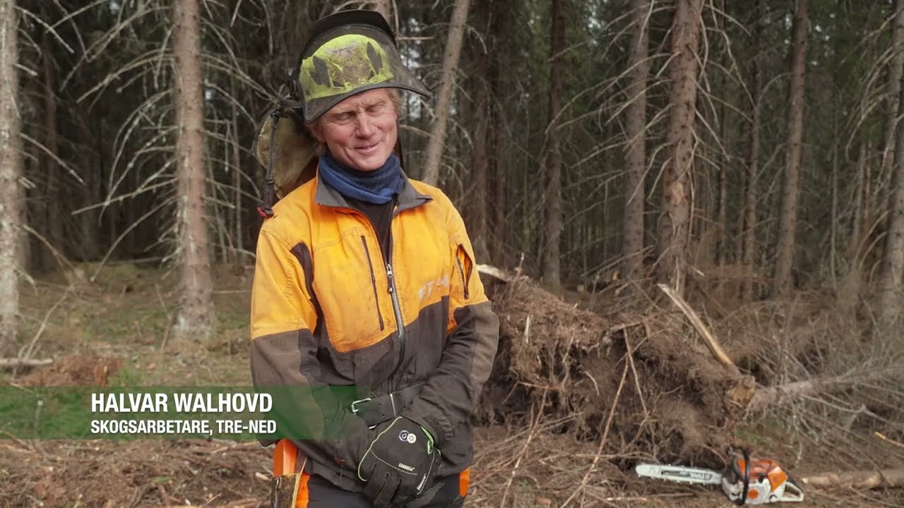 Ensamarbete – säker i skogen