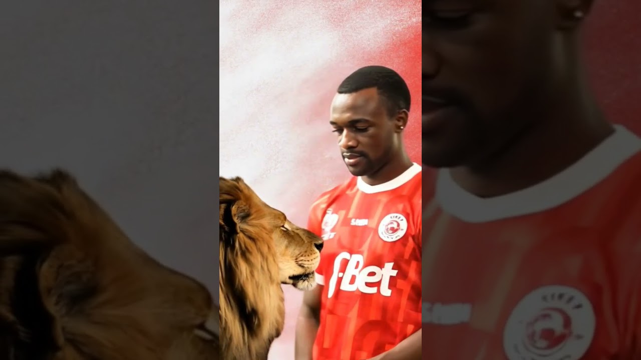 #shorts #simbasc #yangasc #mpanzu #sports #michezo #ligikuutanzaniabara