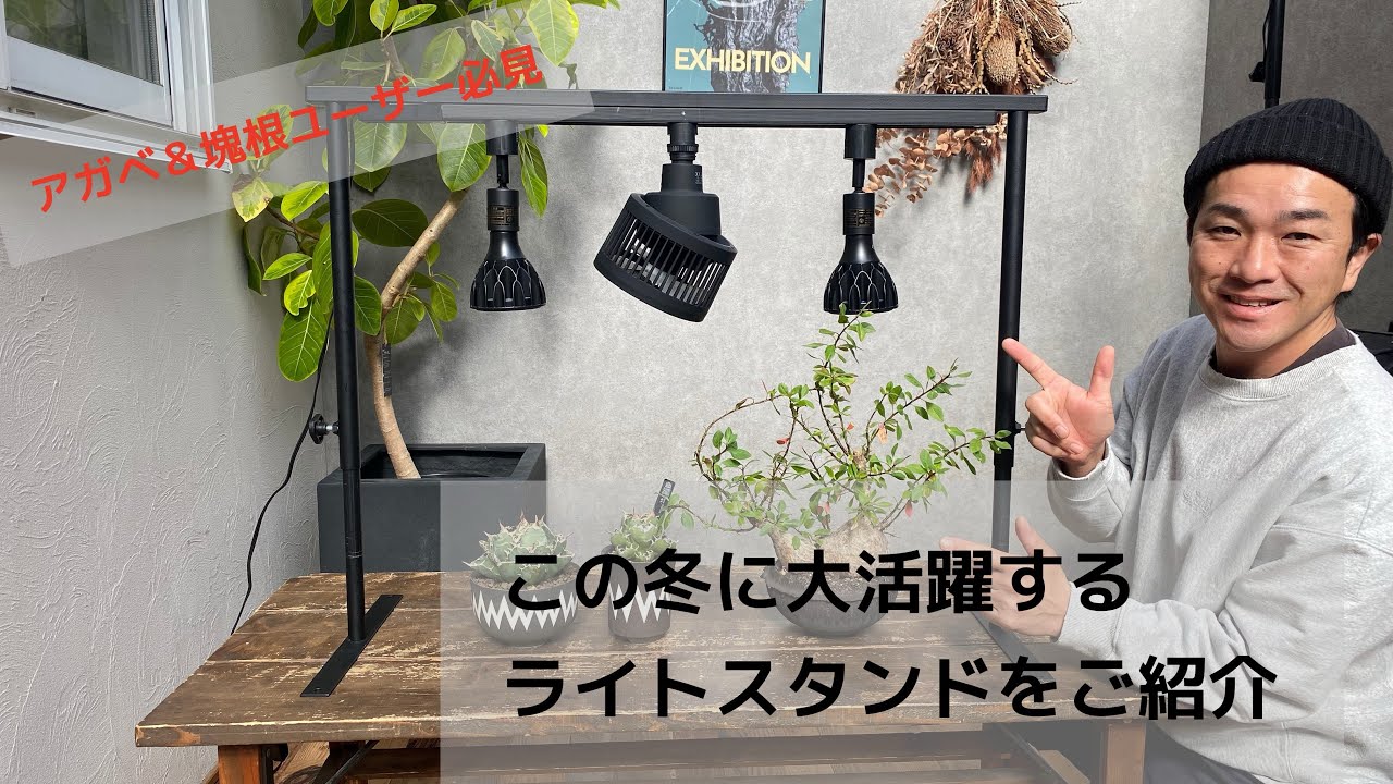 LIM IRON CRAFTの大人気ライトレールスタンドをご紹介！！#リムアイアンクラフト#アガベ#塊根#育成ライト